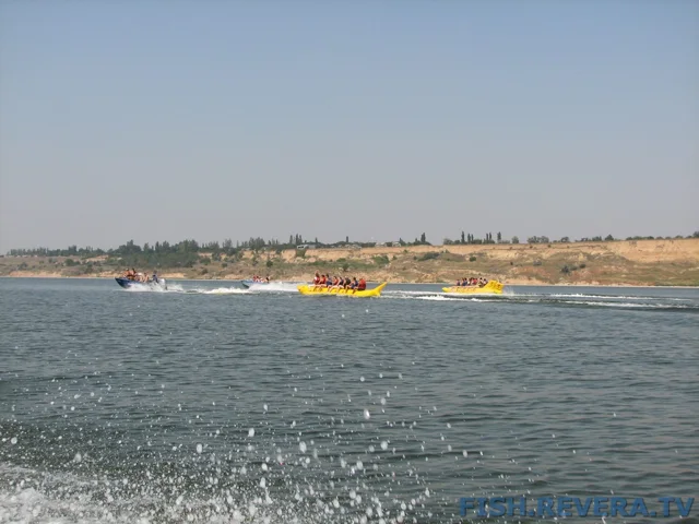Грибовка — Кизомыс, 2008 · фото 58