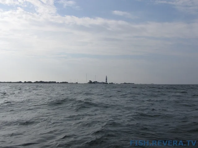 Рыбаковка — Крым, 2010 · фото 9