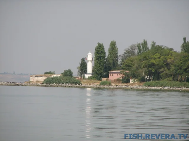 Грибовка — Кизомыс, 2008 · фото 83