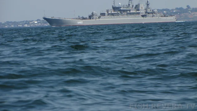 Одесса — Тарханкут, 2013 · фото 6