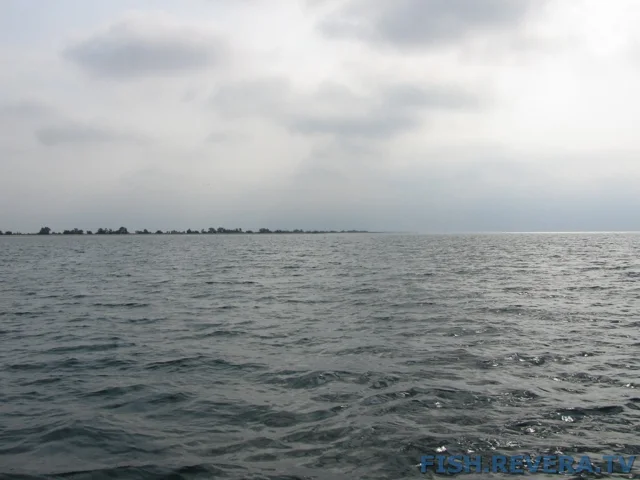 Рыбаковка — Крым, 2010 · фото 40