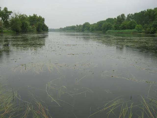 Рыбаковка — Новая Каховка, 2011 · фотография из авторского рассказа