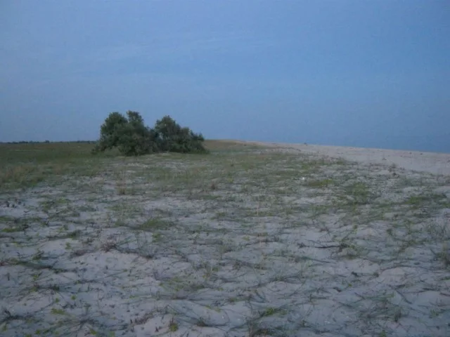 Одесса — Тарханкут: дневник Андрея, 2012 · фотография из авторского рассказа
