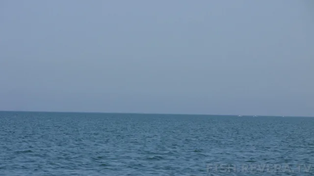 Одесса — Тарханкут, 2013 · фото 25