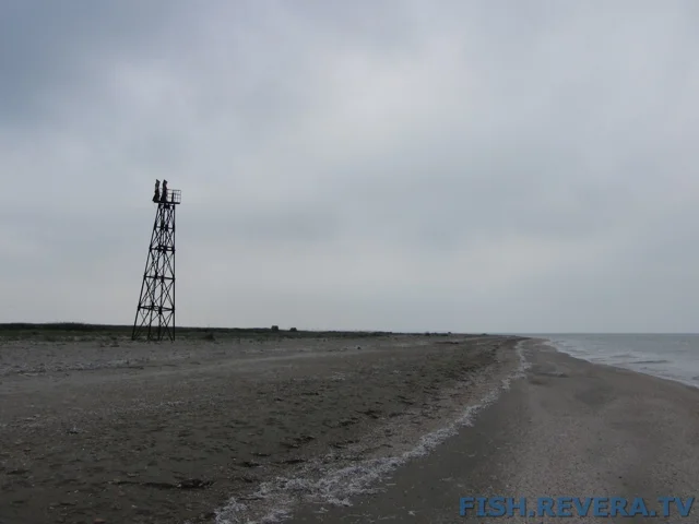 Рыбаковка — Крым, 2010 · фото 45