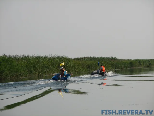 Грибовка — Кизомыс, 2008 · фото 106