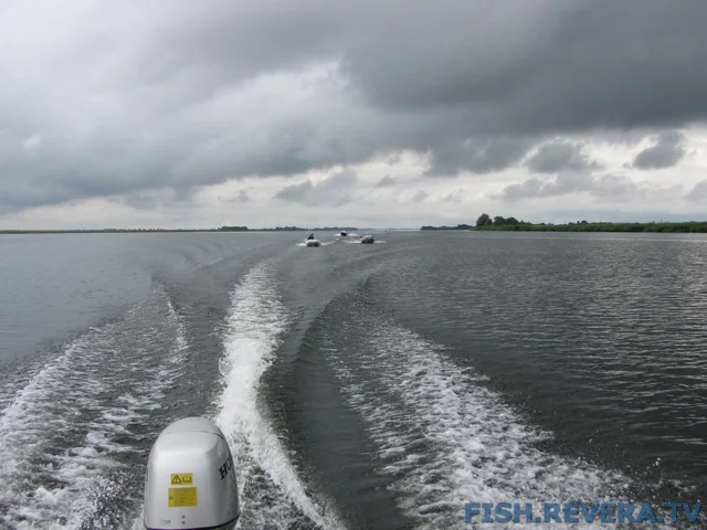 Рыбаковка — Новая Каховка, 2011 · фото 24