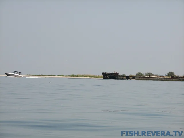 Грибовка — Кизомыс, 2008 · фото 78