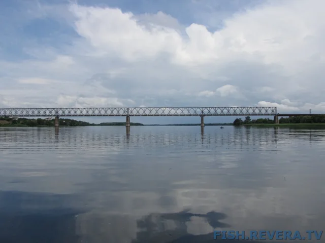 Рыбаковка — Новая Каховка, 2011 · фото 92