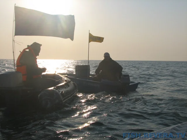 Грибовка — Кизомыс, 2008 · фото 20