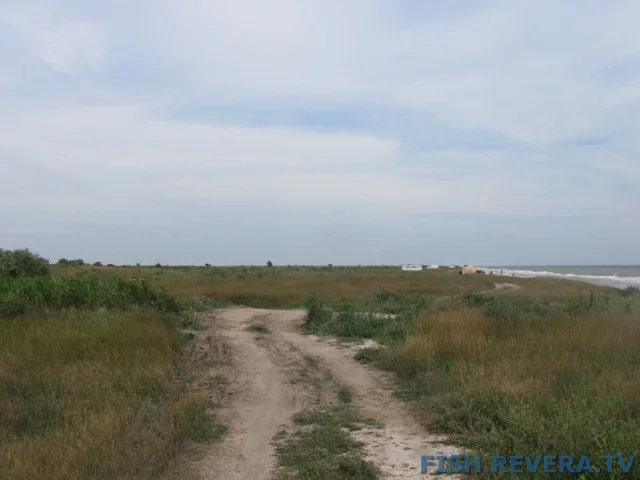 Рыбаковка — Крым, 2010 · фото 30