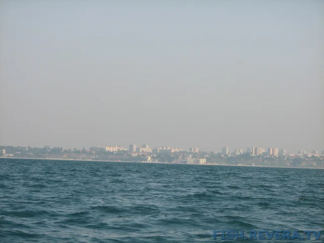 Грибовка — Кизомыс, 2008 · фото 38