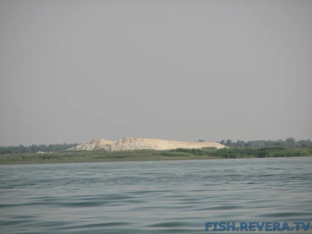 Грибовка — Кизомыс, 2008 · фото 91