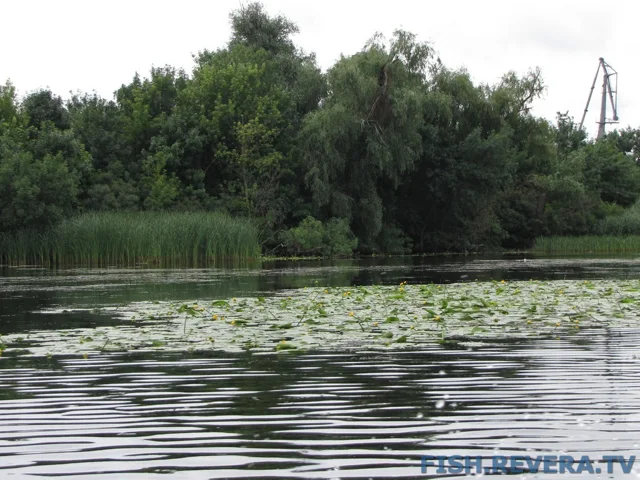 Рыбаковка — Новая Каховка, 2011 · фото 57