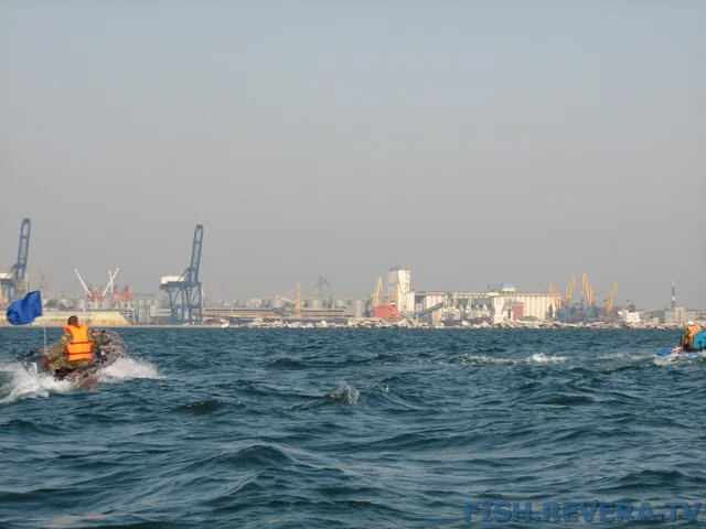 Грибовка — Кизомыс, 2008 · фото 34