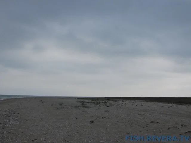 Рыбаковка — Крым, 2010 · фото 46