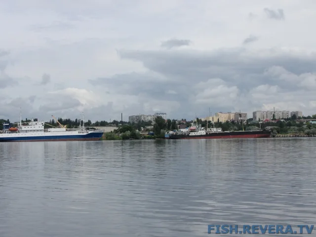 Рыбаковка — Новая Каховка, 2011 · фото 68