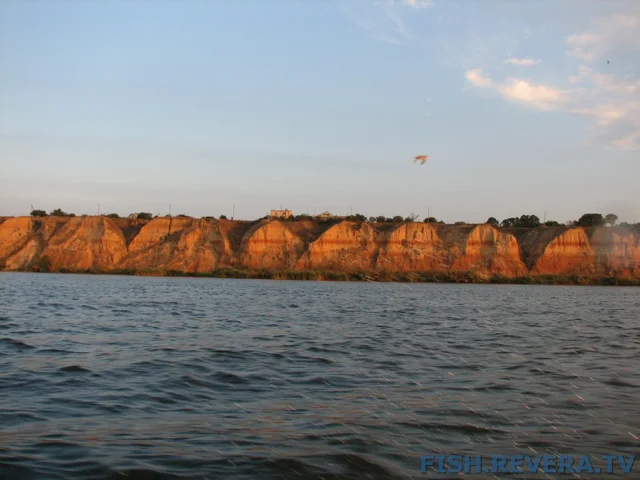 Грибовка — Кизомыс, 2008 · фото 159
