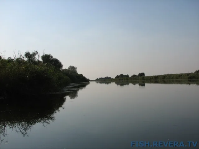 Грибовка — Кизомыс, 2008 · фото 101