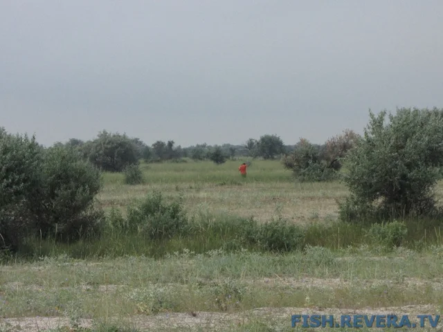 Рыбаковка — Крым, 2010 · фото 87