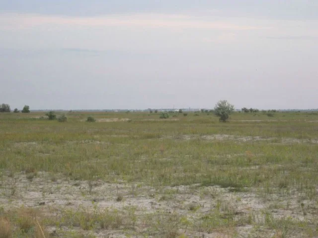 Одесса — Тарханкут: дневник Андрея, 2012 · фотография из авторского рассказа