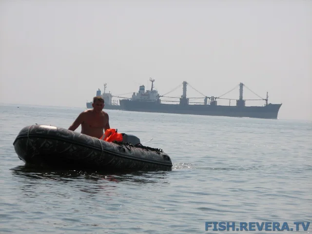 Грибовка — Кизомыс, 2008 · фото 63