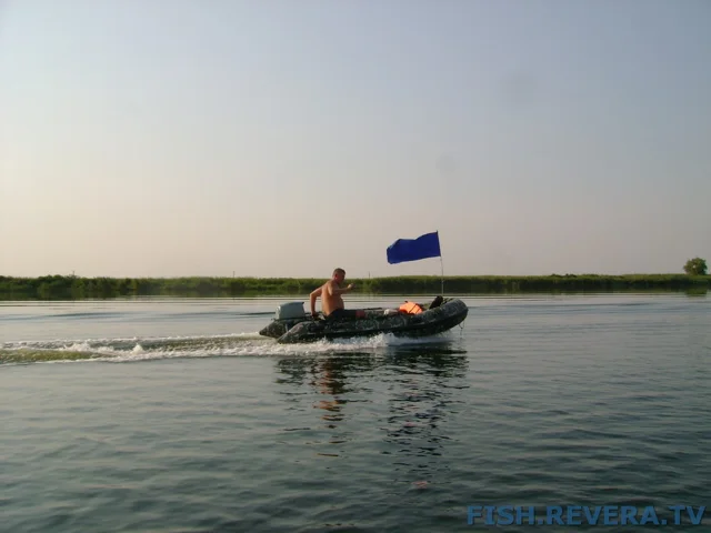 Грибовка — Кизомыс, 2008 · фото 124