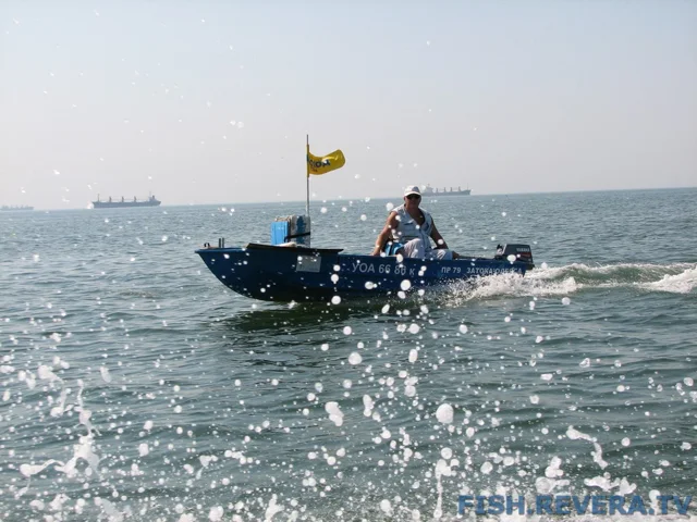 Грибовка — Кизомыс, 2008 · фото 50