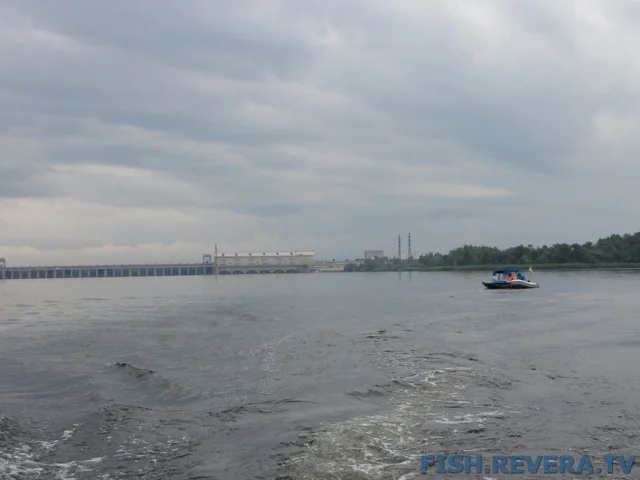 Рыбаковка — Новая Каховка, 2011 · фото 136