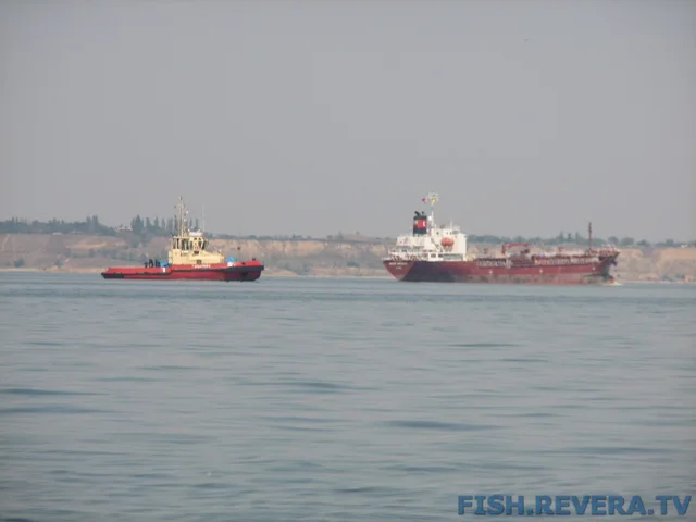 Грибовка — Кизомыс, 2008 · фото 77
