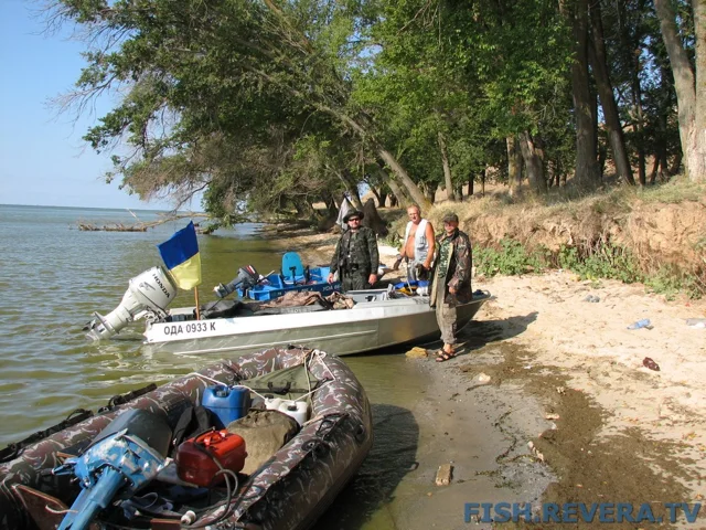 Грибовка — Кизомыс, 2008 · фото 167