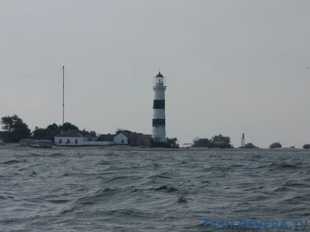 Рыбаковка — Крым, 2010 · фото 10