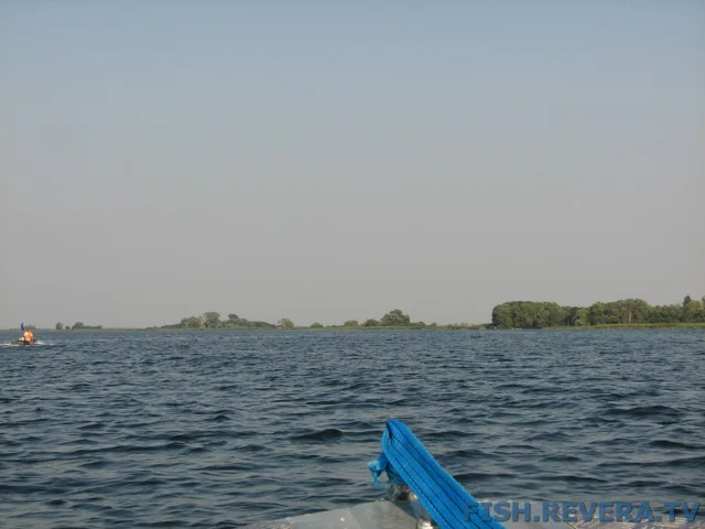 Грибовка — Кизомыс, 2008 · фото 100