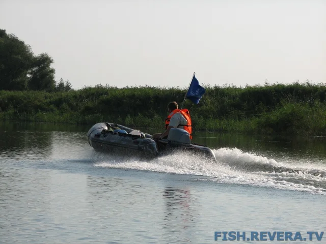 Грибовка — Кизомыс, 2008 · фото 108