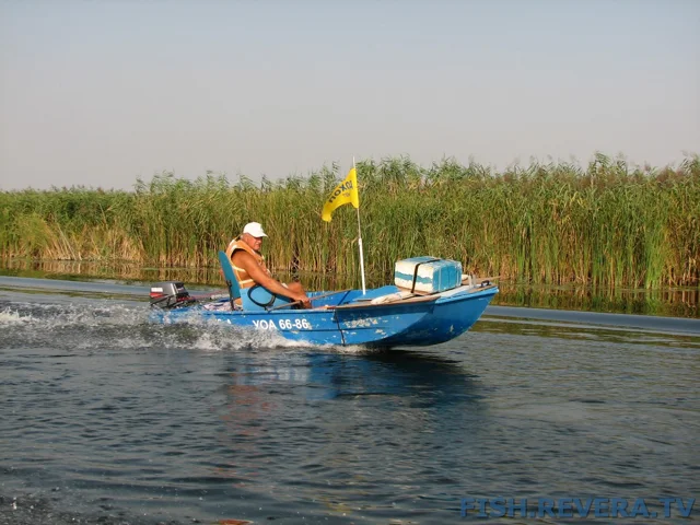 Грибовка — Кизомыс, 2008 · фото 107