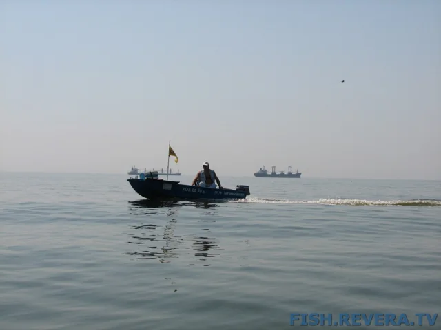 Грибовка — Кизомыс, 2008 · фото 64