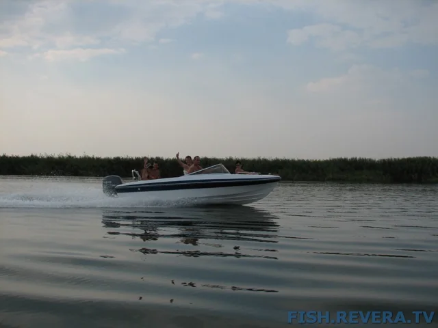 Грибовка — Кизомыс, 2008 · фото 146