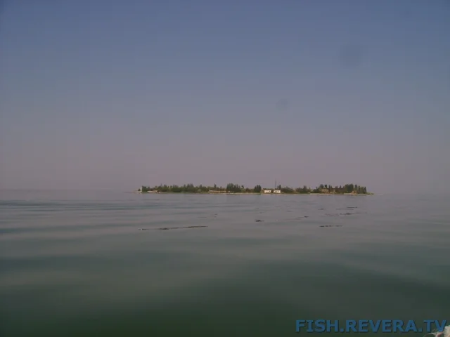 Грибовка — Кизомыс, 2008 · фото 74
