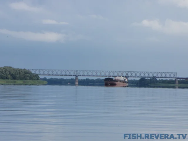 Рыбаковка — Новая Каховка, 2011 · фото 85