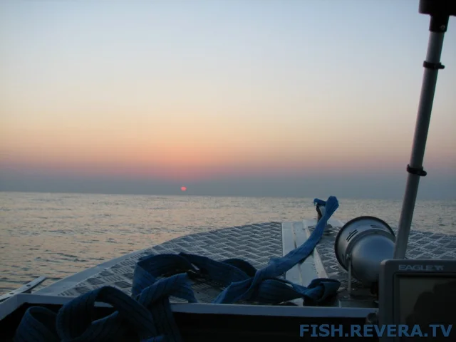 Грибовка — Кизомыс, 2008 · фото 17