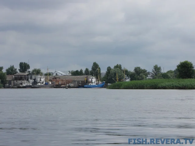 Рыбаковка — Новая Каховка, 2011 · фото 41
