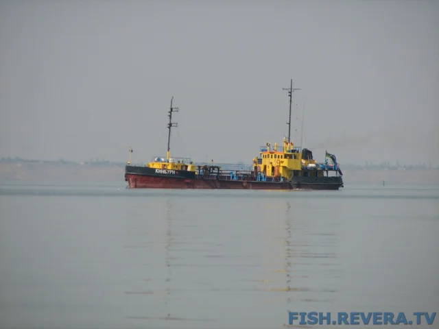 Грибовка — Кизомыс, 2008 · фото 85