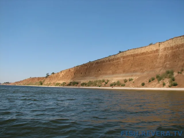 Грибовка — Кизомыс, 2008 · фото 174