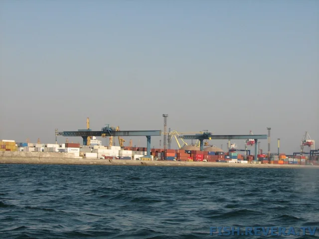 Грибовка — Кизомыс, 2008 · фото 27