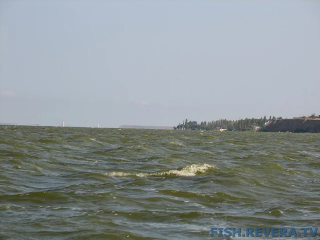 Грибовка — Кизомыс, 2008 · фото 165