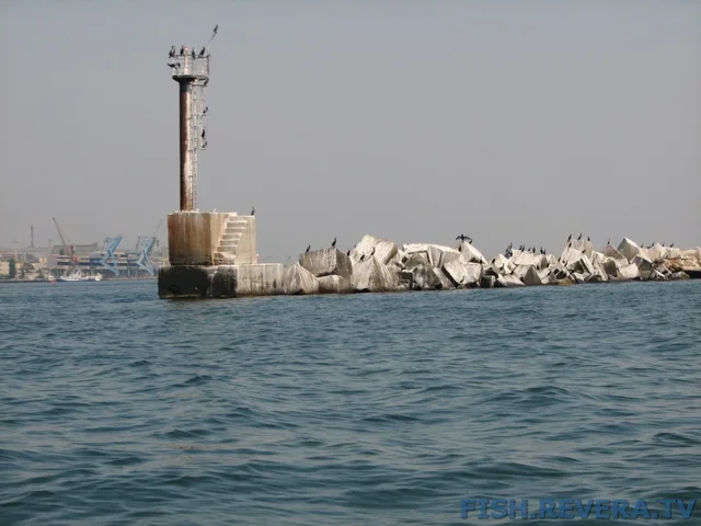 Грибовка — Кизомыс, 2008 · фото 48