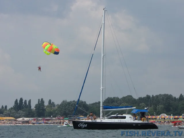Рыбаковка — Крым, 2010 · фото 59