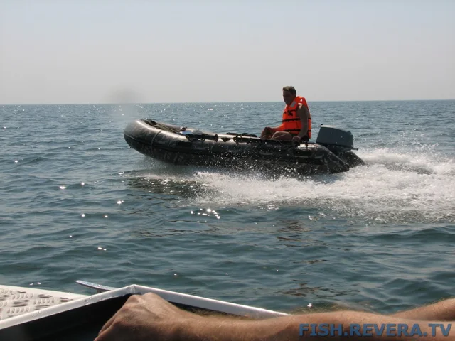 Грибовка — Кизомыс, 2008 · фото 53