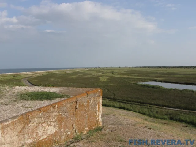 Рыбаковка — Джарылгач, 2009 · фото 61