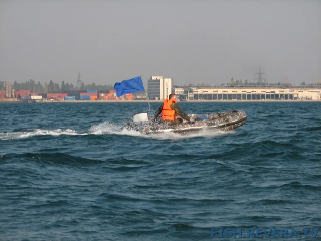 Грибовка — Кизомыс, 2008 · фото 35